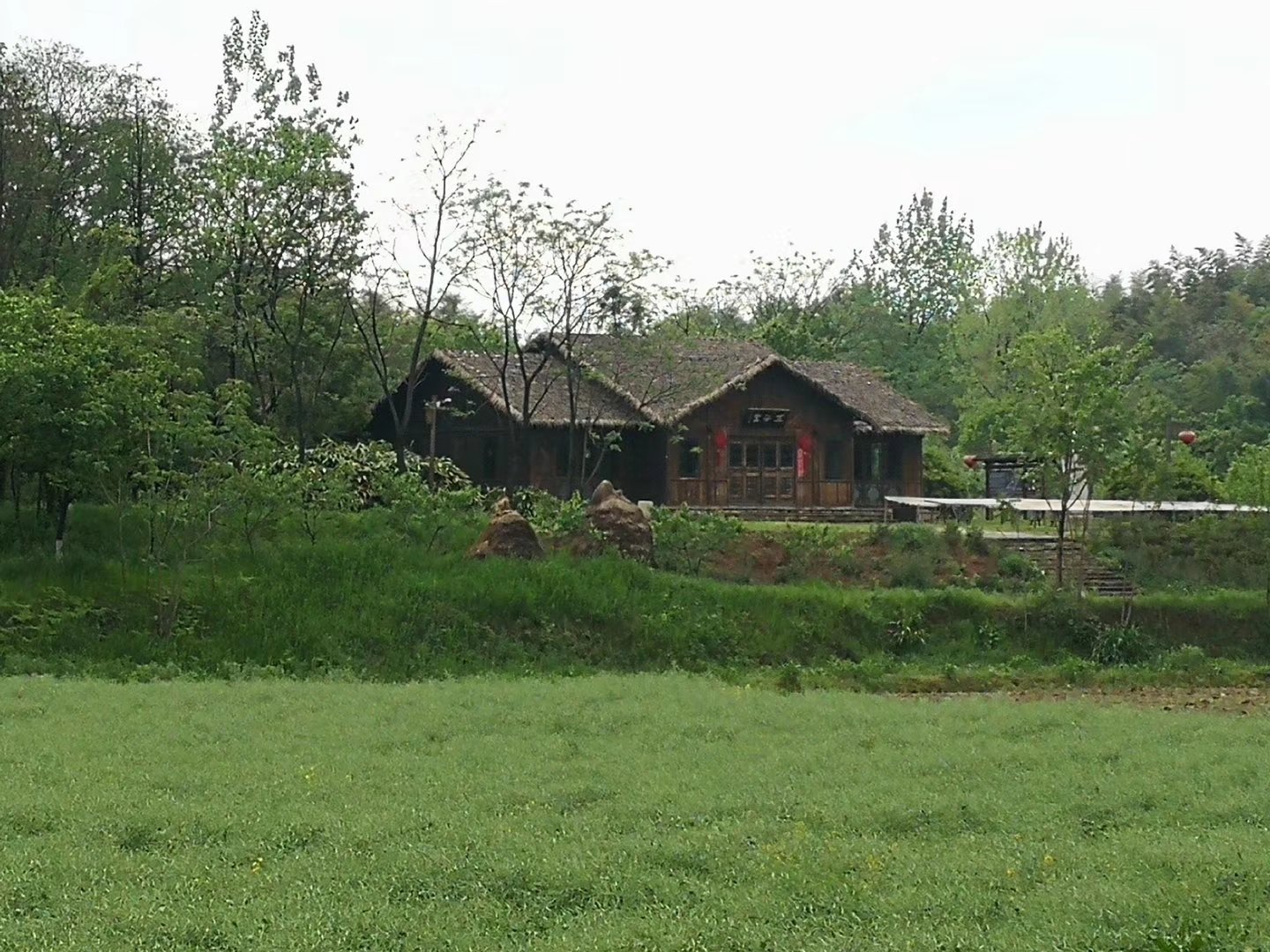 mmexport1587308977065.jpg