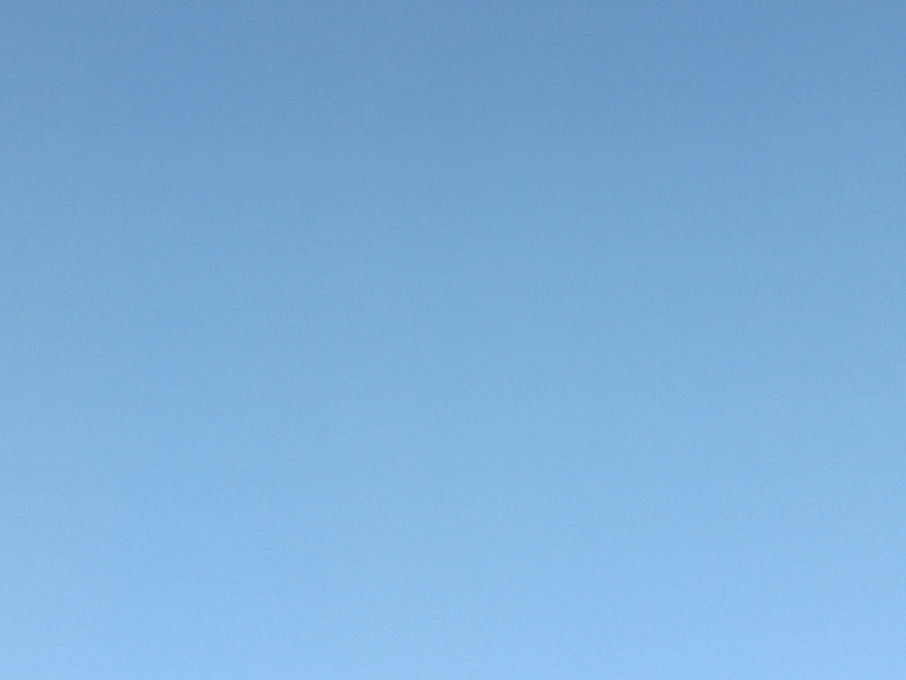 mmexport1600549221455.jpg
