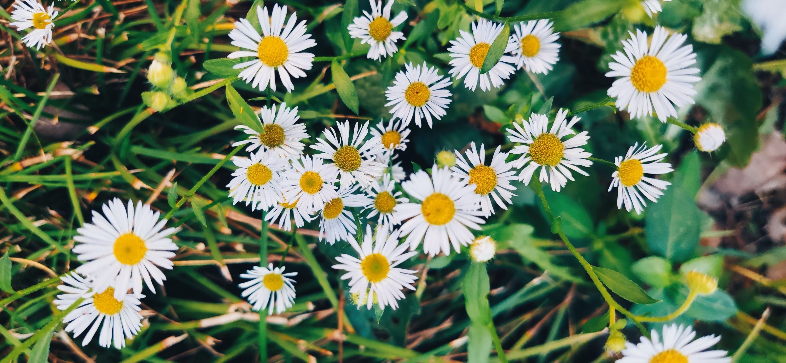 4C781BFB-AC49-417F-B38A-C1335F23612C.jpeg
