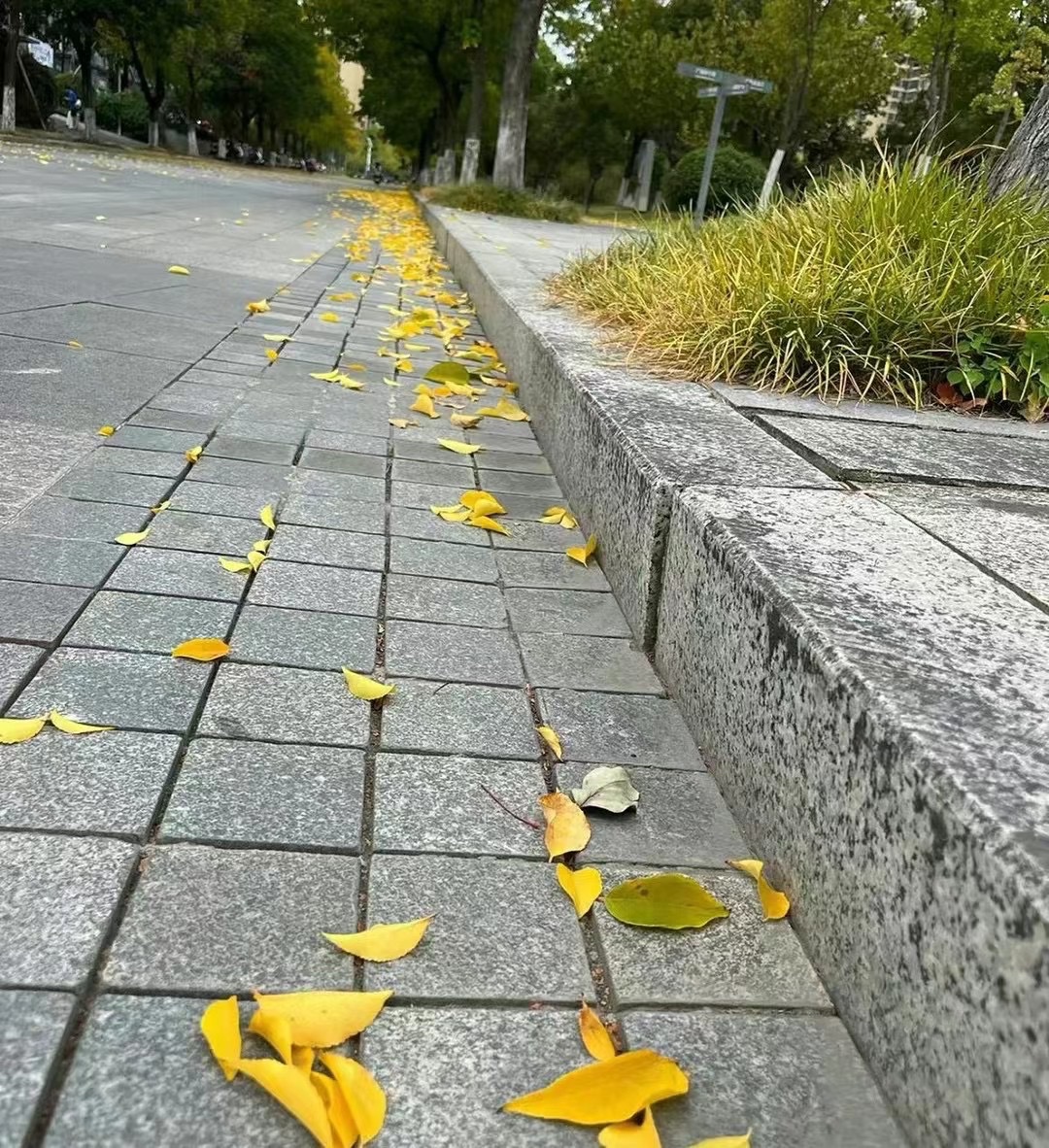 552430CC-F5AE-40F6-A28B-2552B58A9A3D.jpeg