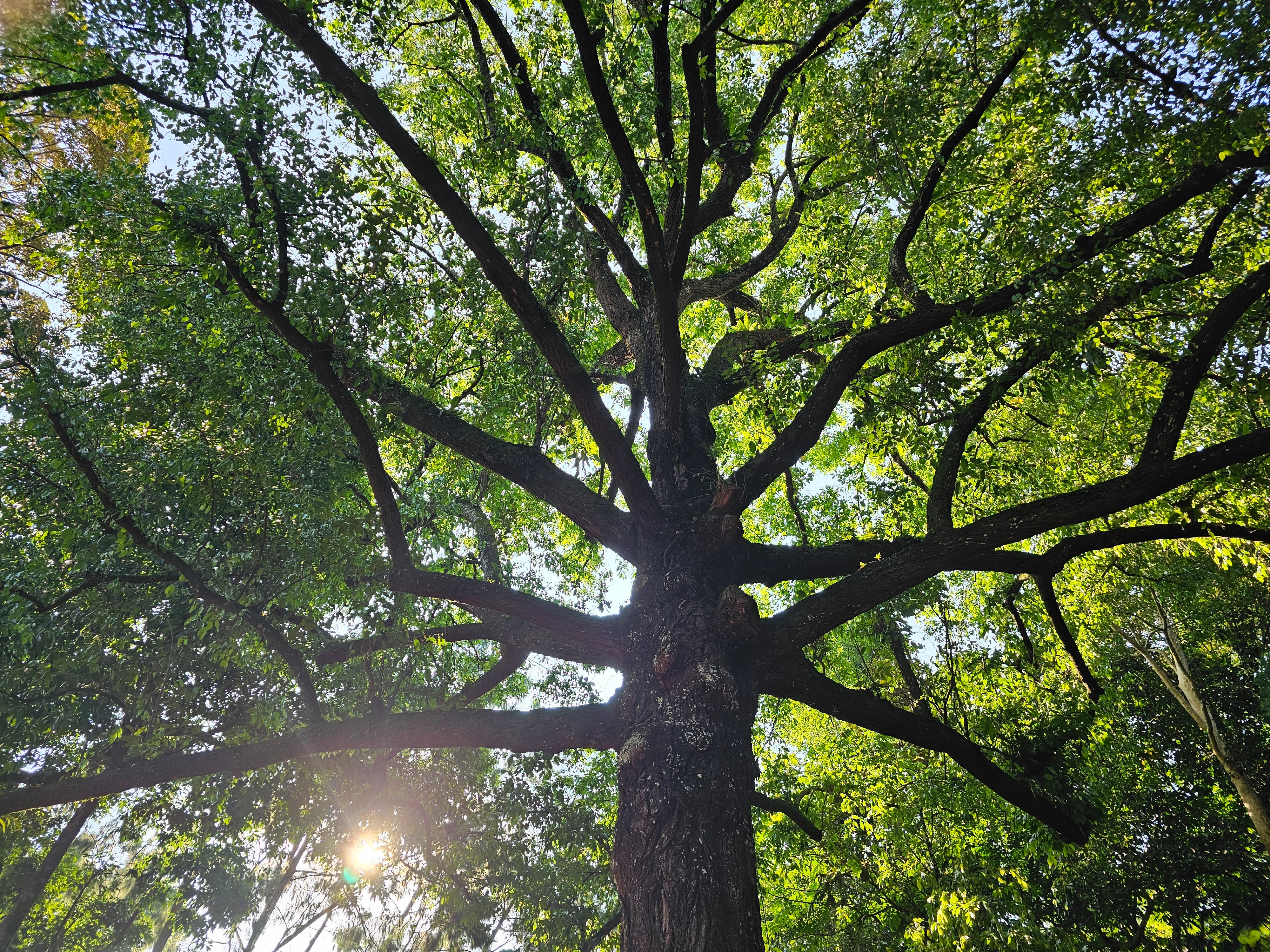 20250625_165553.jpg