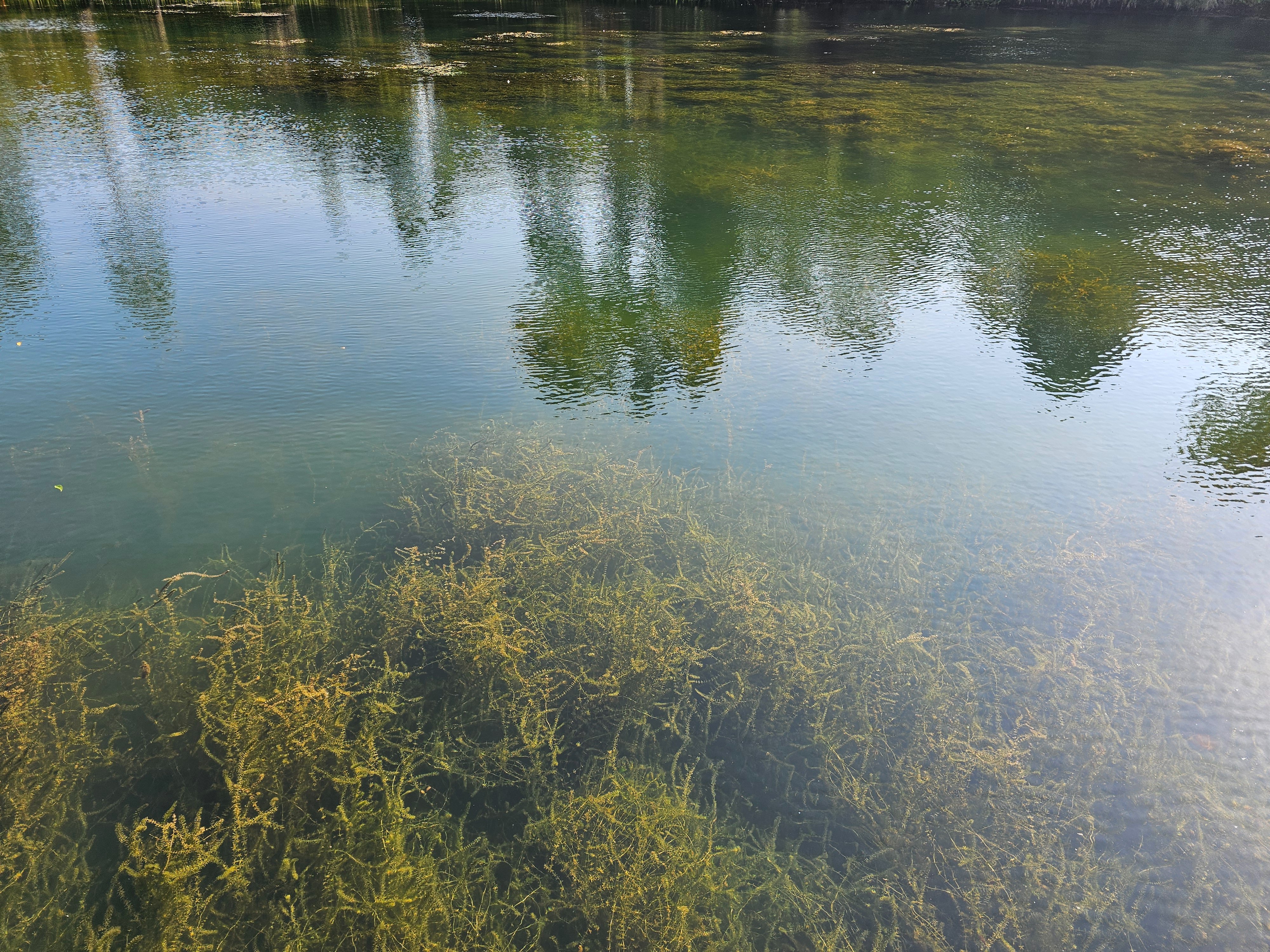 20250625_165110.jpg