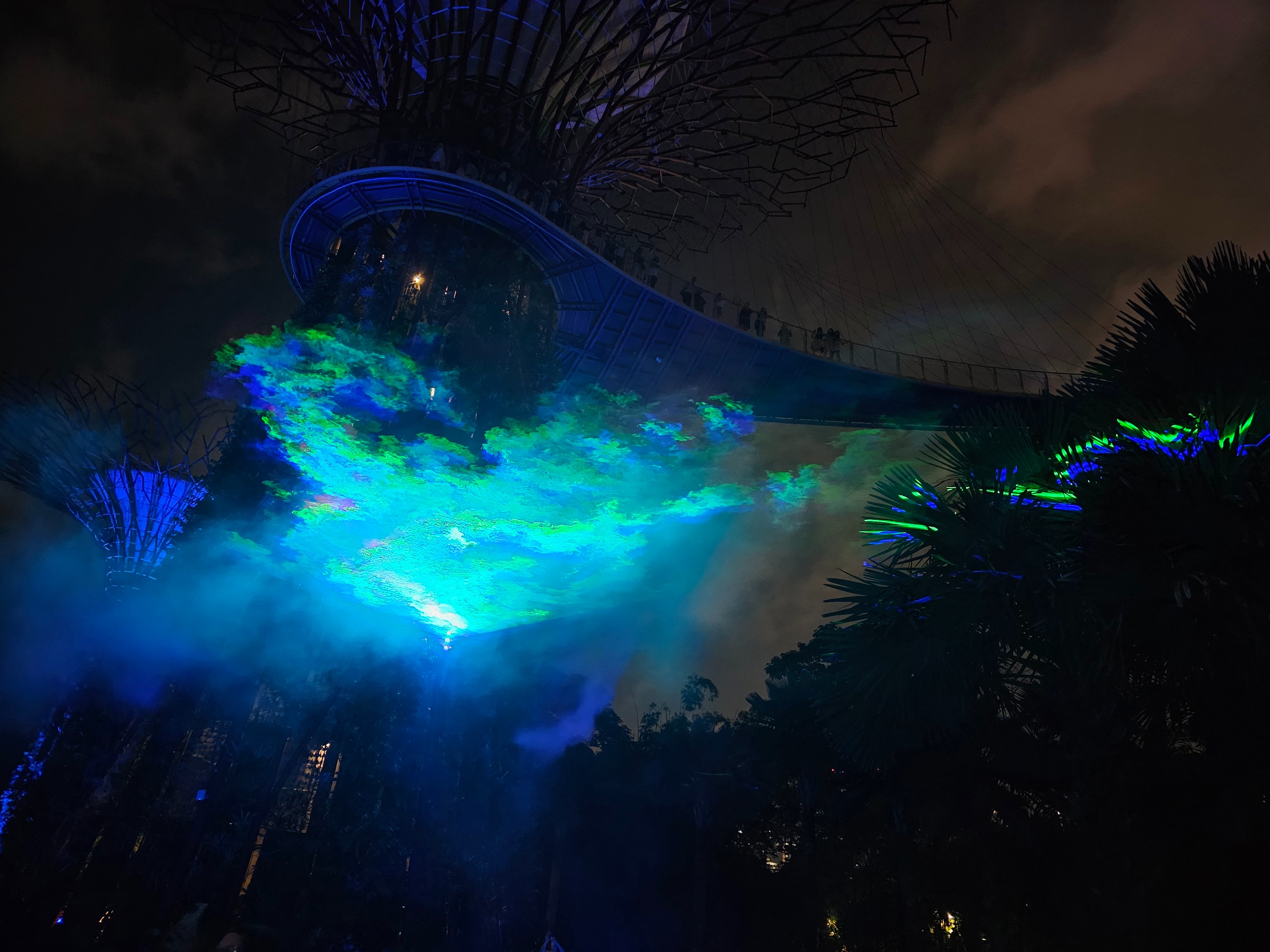 20250628_200224.jpg