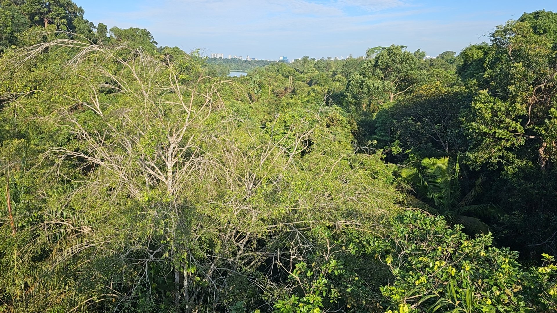 wx_camera_1751190147846.jpg