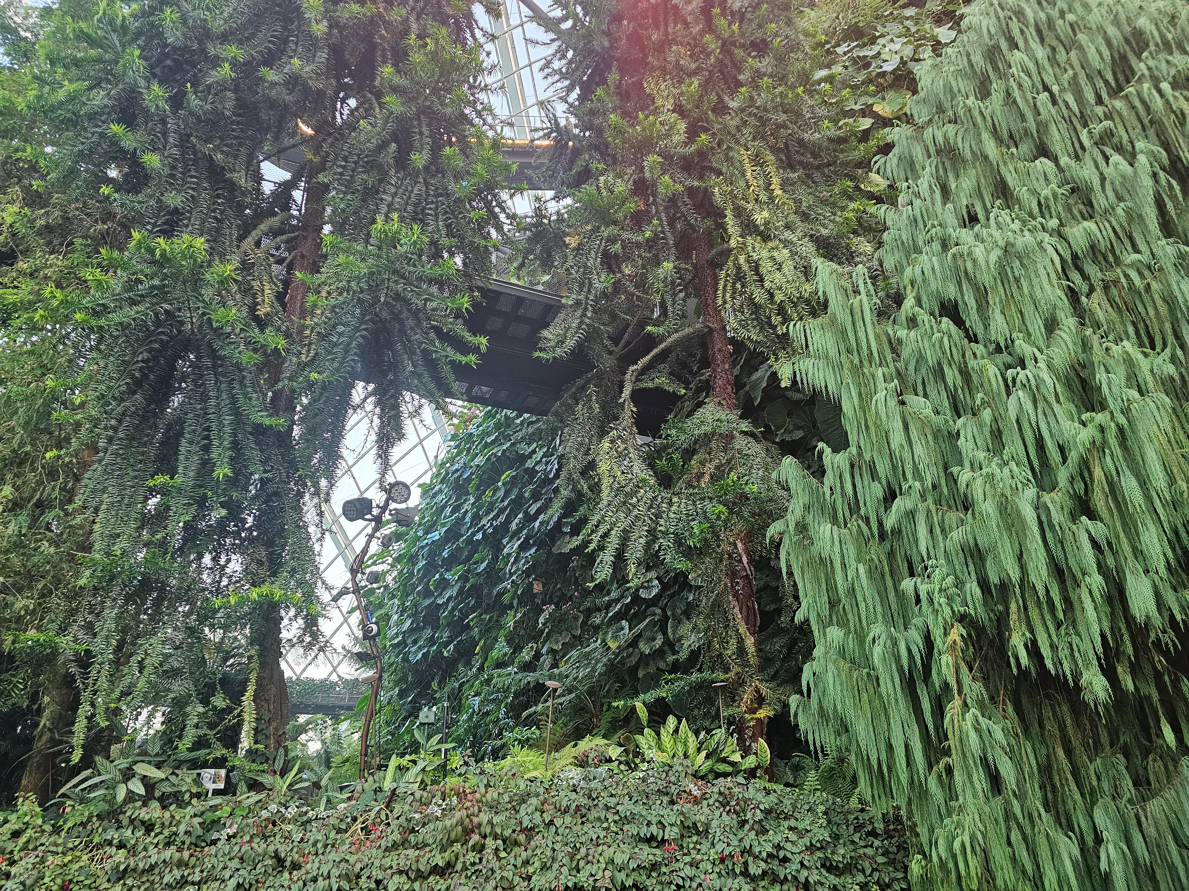20250630_185728.jpg