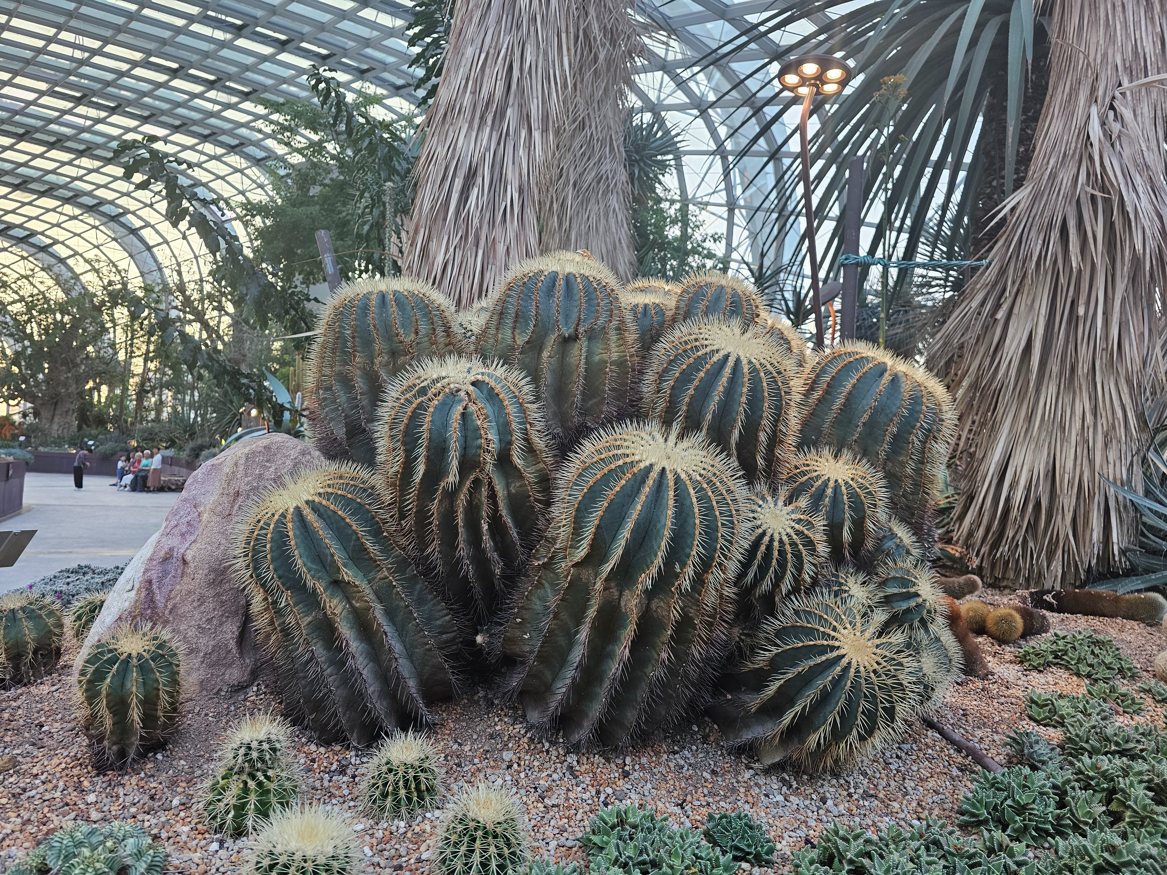 20250630_183715.jpg