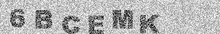 确认码