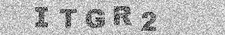 确认码